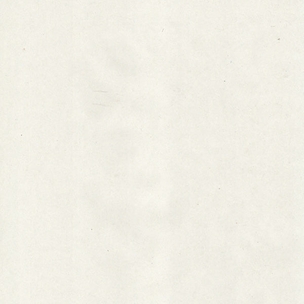 PERLENCOPY papier imprimante recyclé A4 80g/m², blanc CIE 55, boîte de 5 ramettes de 500 feuilles